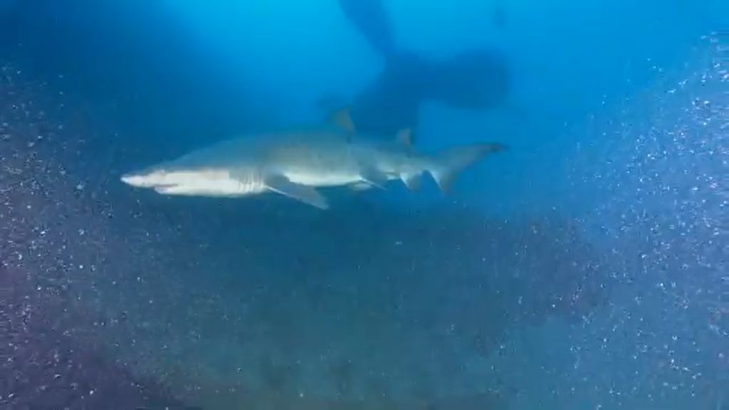 572cbc3f-fc1e-4af4-a669-223db107809a