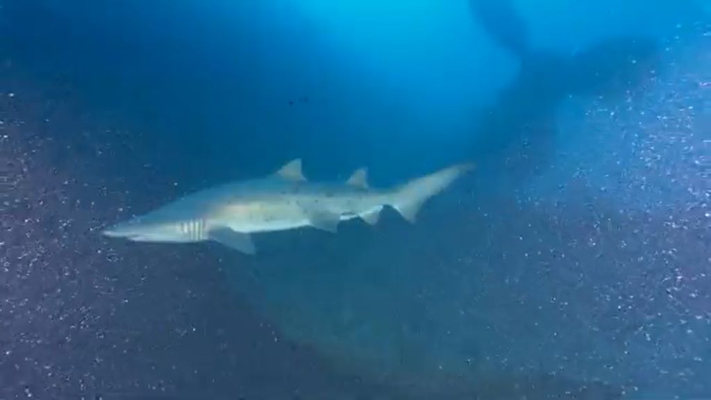 572cbc3f-fc1e-4af4-a669-223db107809a