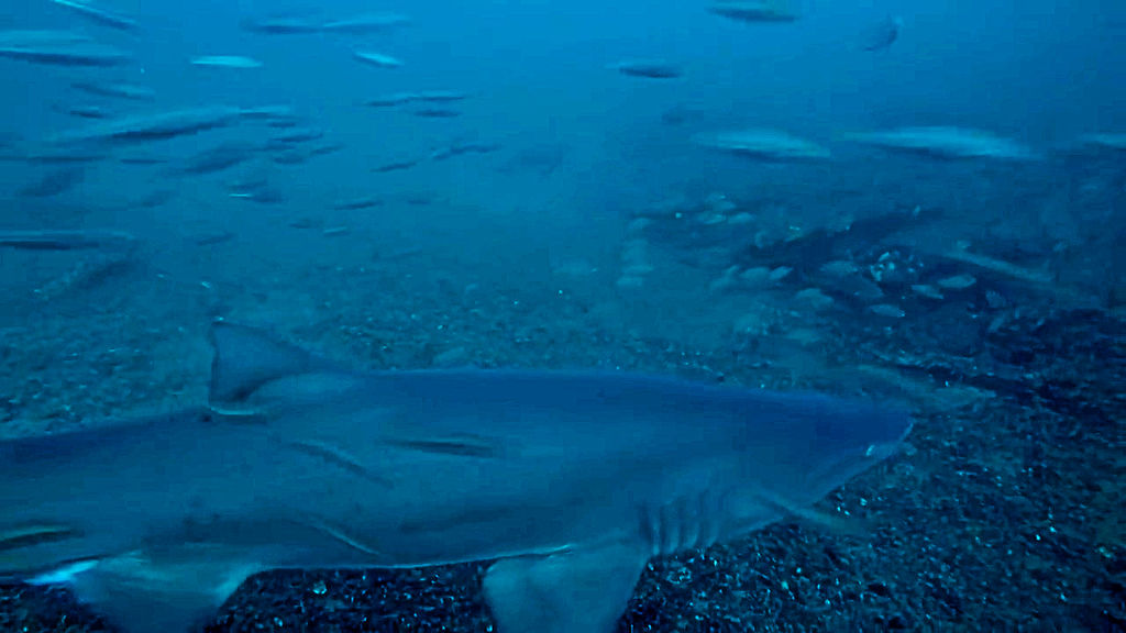 220edbd8-8bfa-440f-b318-9b62af6f7f51