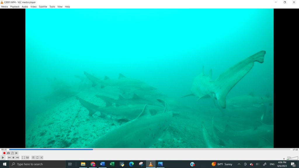 9fa09b39-a153-479d-b4e6-a76f90a11056