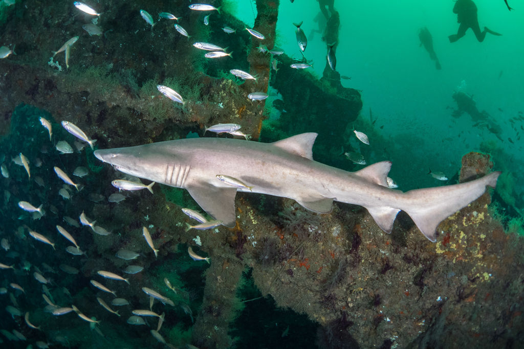 1b55c499-48b1-4214-ba1f-6b772d5f8ef7