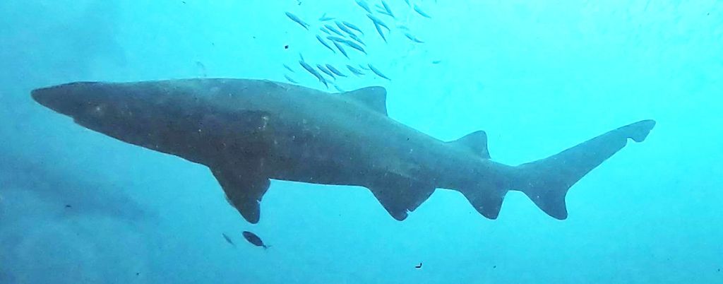 81baf329-593b-4852-9e9a-70e44a52893b