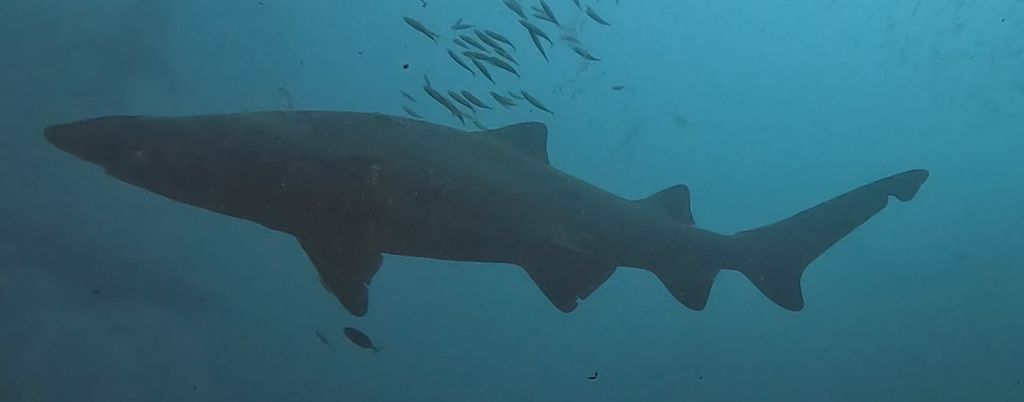 81baf329-593b-4852-9e9a-70e44a52893b