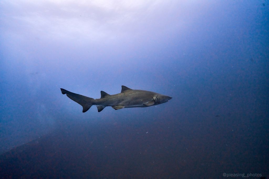 2a5e2a14-7d3e-4ad2-b403-95ae967593da