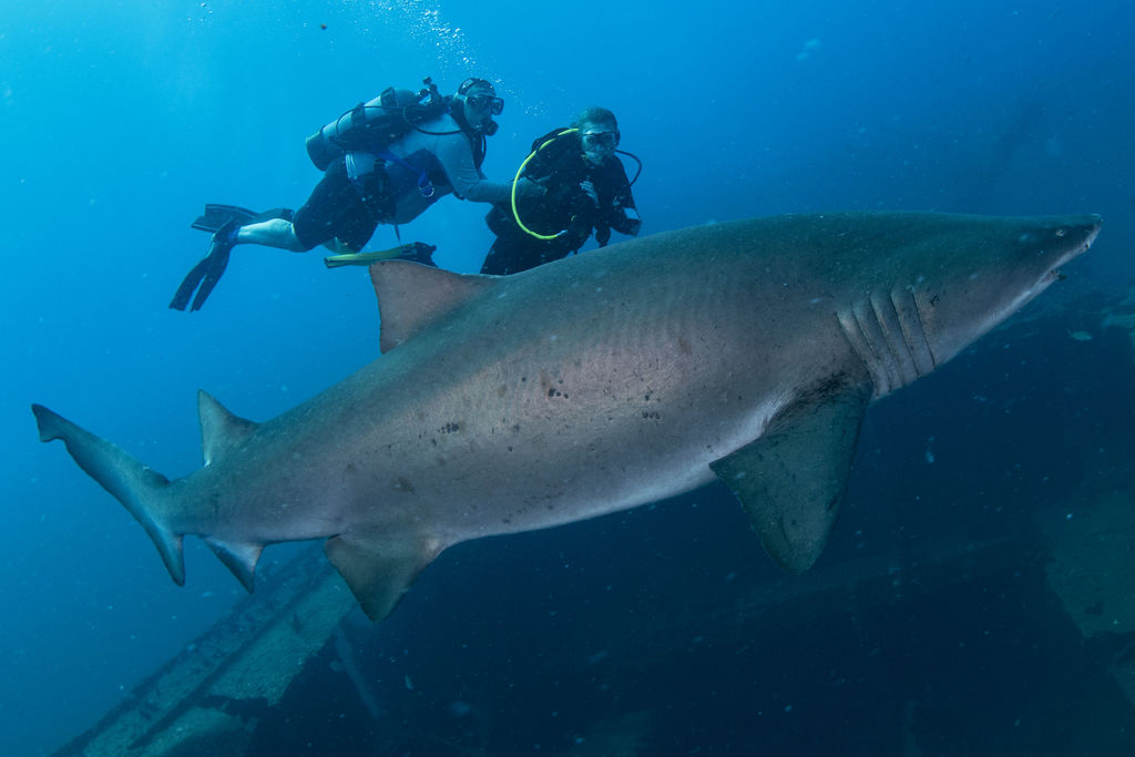 dd887620-4266-4250-a50e-748fecb794e2