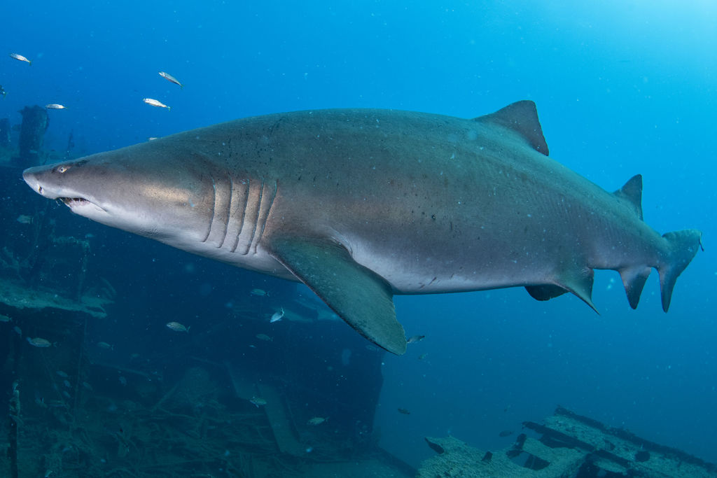 dd887620-4266-4250-a50e-748fecb794e2