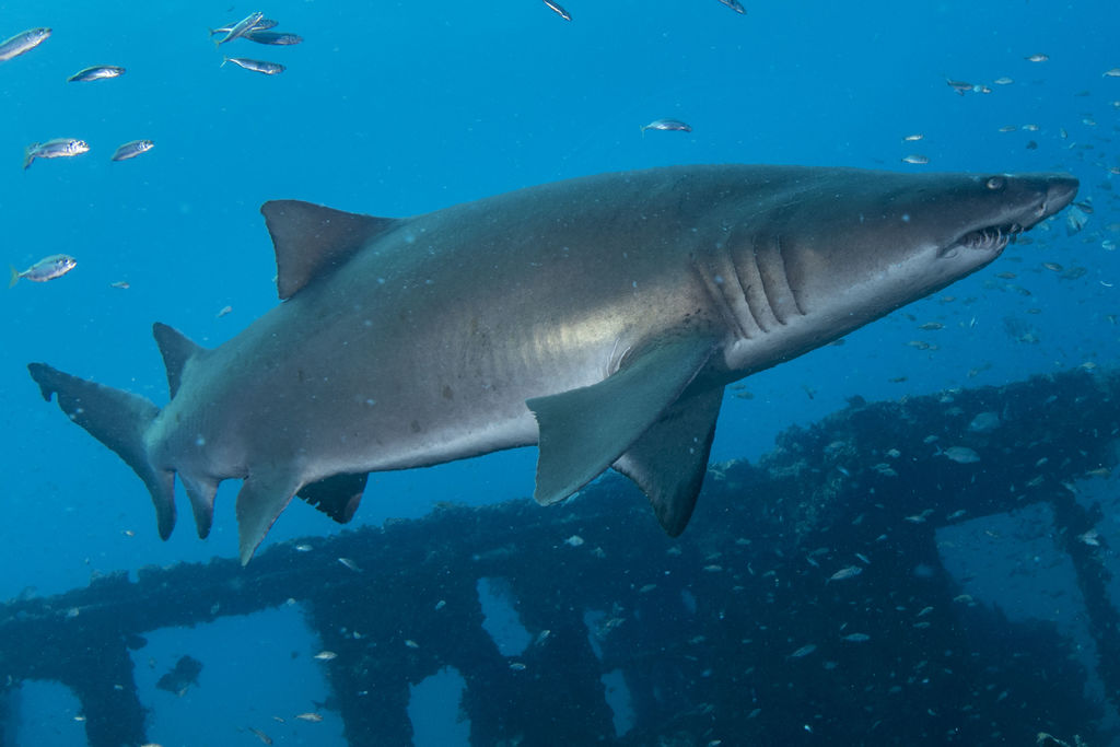 dd887620-4266-4250-a50e-748fecb794e2