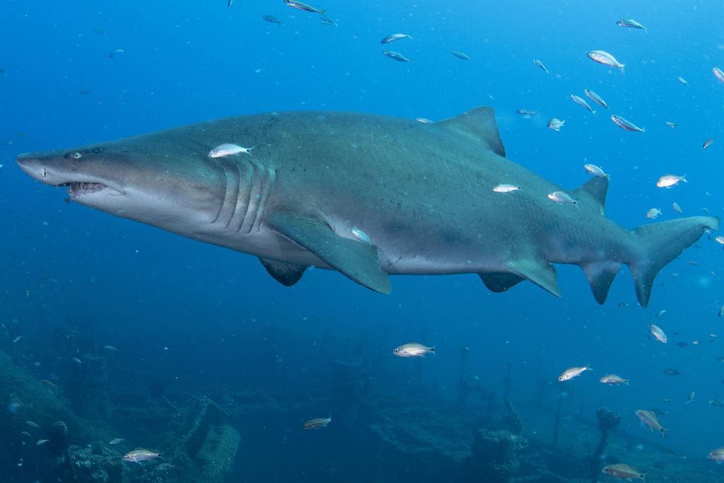 dd887620-4266-4250-a50e-748fecb794e2