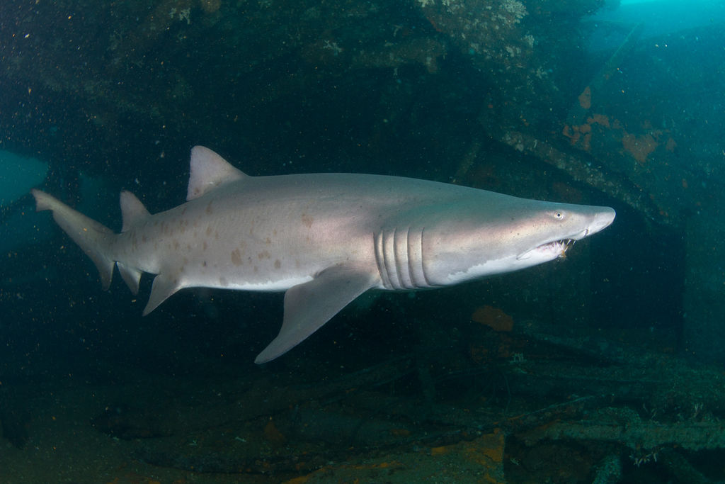 be480bd6-a1f3-4d2f-bb16-43b6192b030c