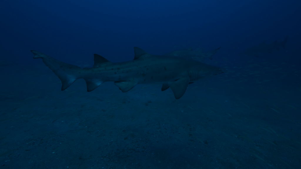 f21e7fb4-ebec-4047-949d-34d21b2a1c68