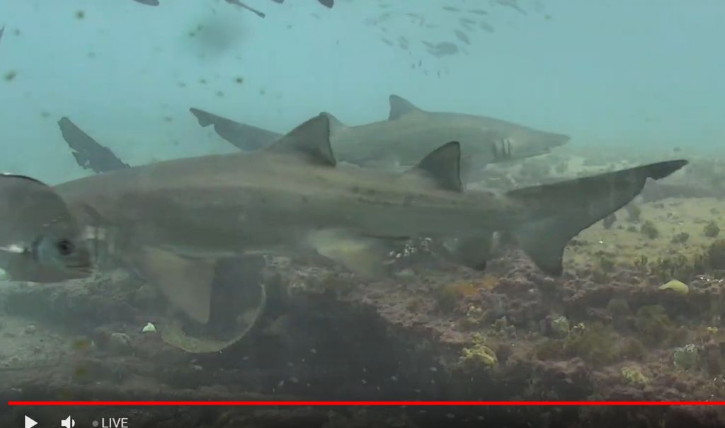 cf5b4494-0b79-4c09-a55d-e5bd25b75981