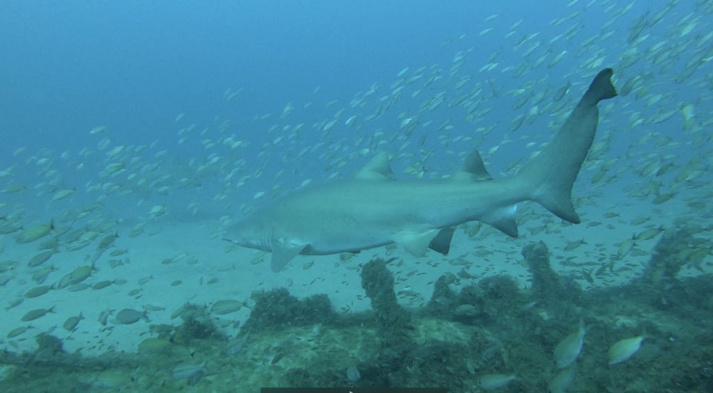 1de8f65b-14b3-49a2-8844-cdc13892cf86