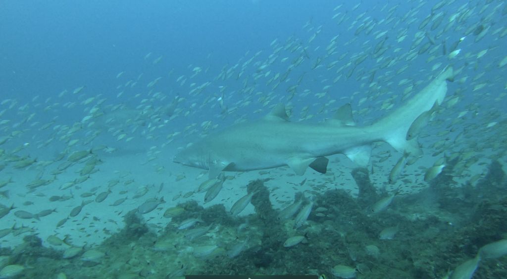 1de8f65b-14b3-49a2-8844-cdc13892cf86