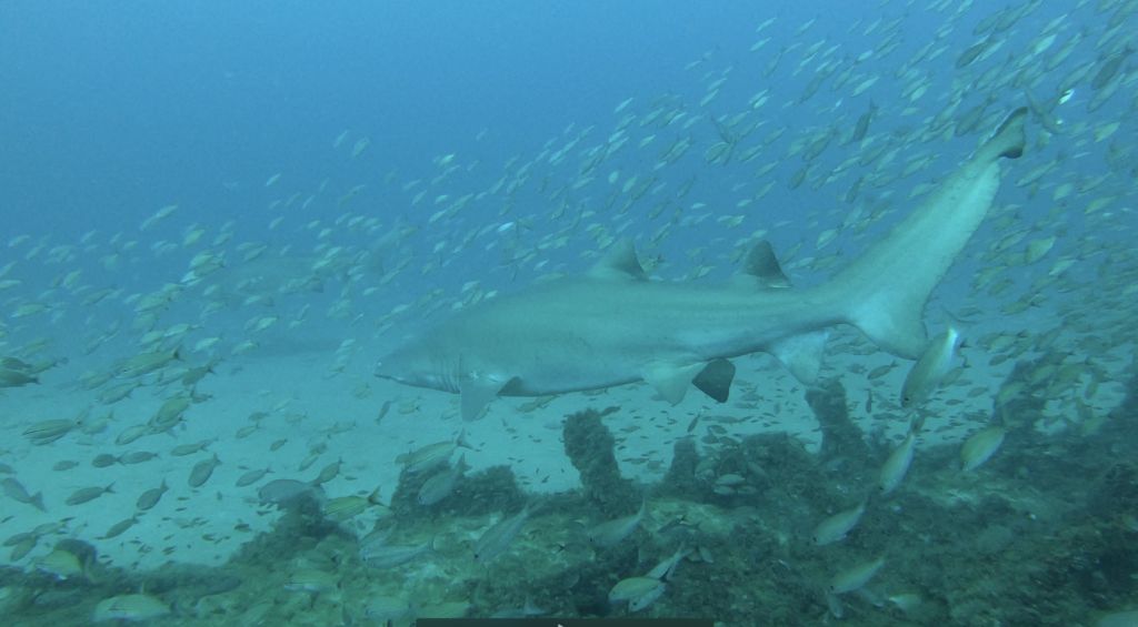 1de8f65b-14b3-49a2-8844-cdc13892cf86