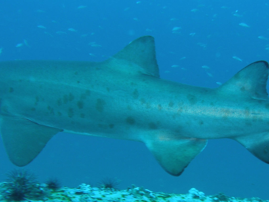 fa924399-147d-425e-af66-6dd5d0466215