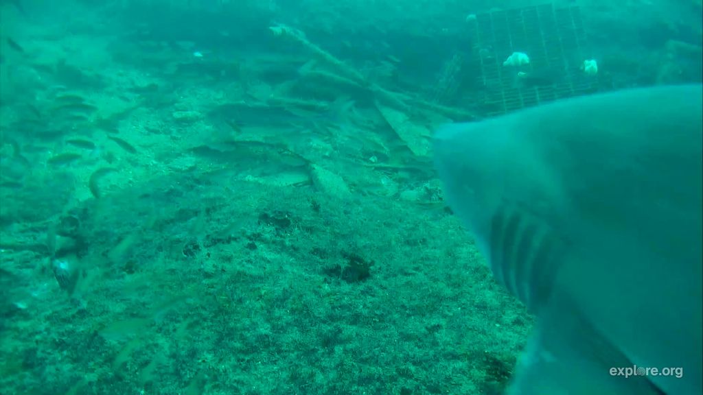 9f68bb29-e04c-4936-a033-8610e1bb3069