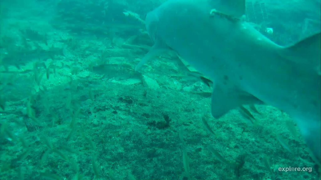 9f68bb29-e04c-4936-a033-8610e1bb3069