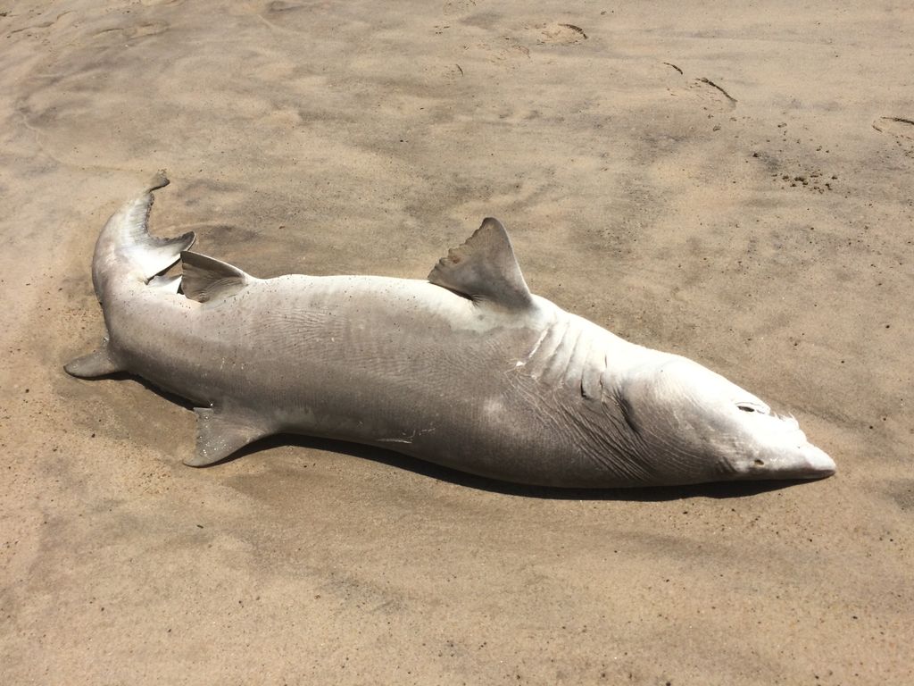 53375cc6-31d1-4d4d-a48f-4742ad5aec51