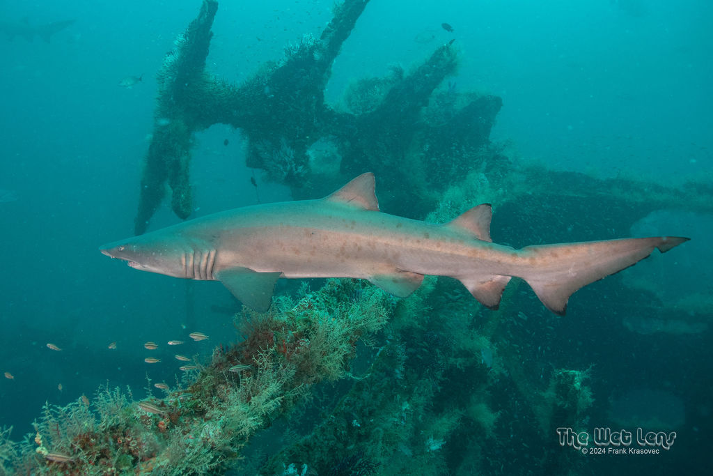 2d9003ca-275e-4489-ab1d-4f4c90ee4589