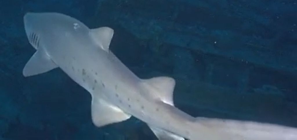 296800fa-bfbc-4447-bfa1-c8ddfe3328ac