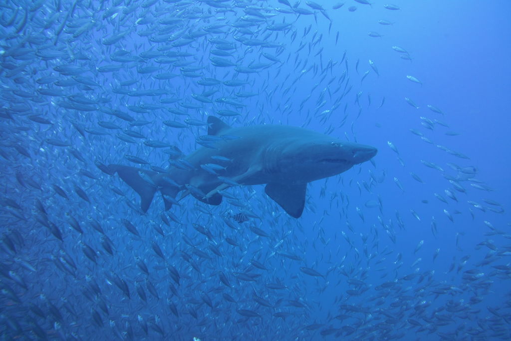 eb8debe7-aa31-4628-b29b-580be9d480ef