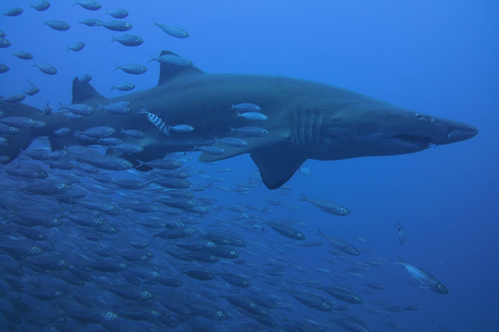 eb8debe7-aa31-4628-b29b-580be9d480ef