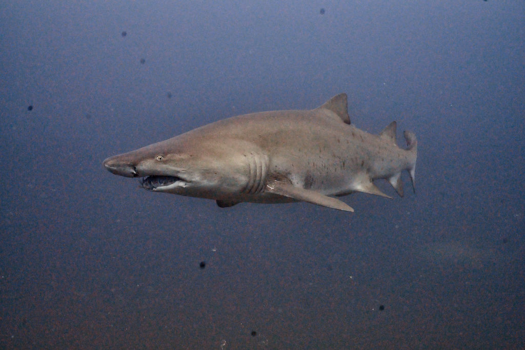 34623e1a-c854-4540-b711-d5d070cb04a1