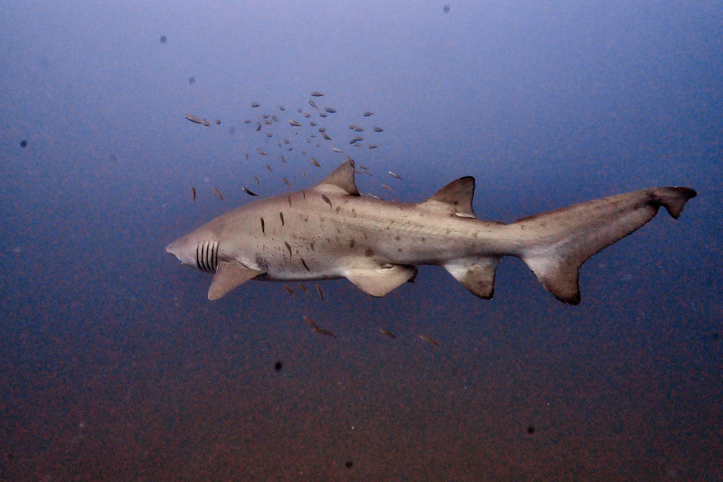 34623e1a-c854-4540-b711-d5d070cb04a1