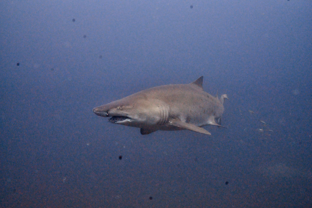 34623e1a-c854-4540-b711-d5d070cb04a1