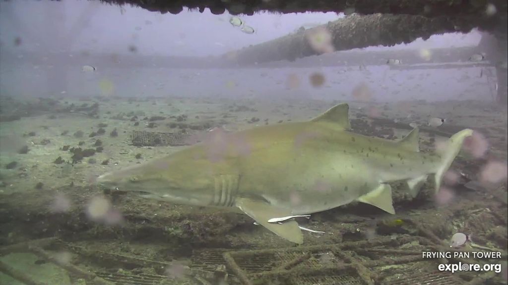 fef3fbbe-1fac-4ea9-b3aa-25477f59dac3