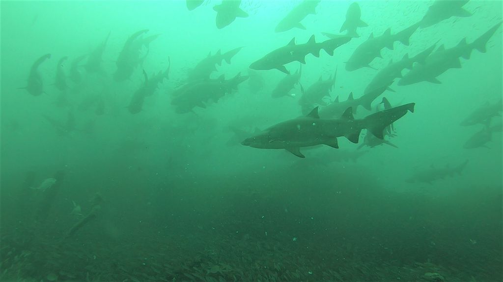 cdafd4cc-a60e-4eb6-b849-c9673b9b7ece