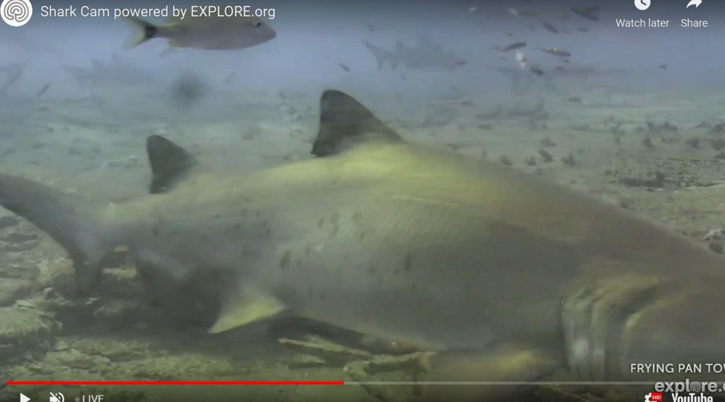 d2a49c0f-3333-440f-be81-9bb169615630