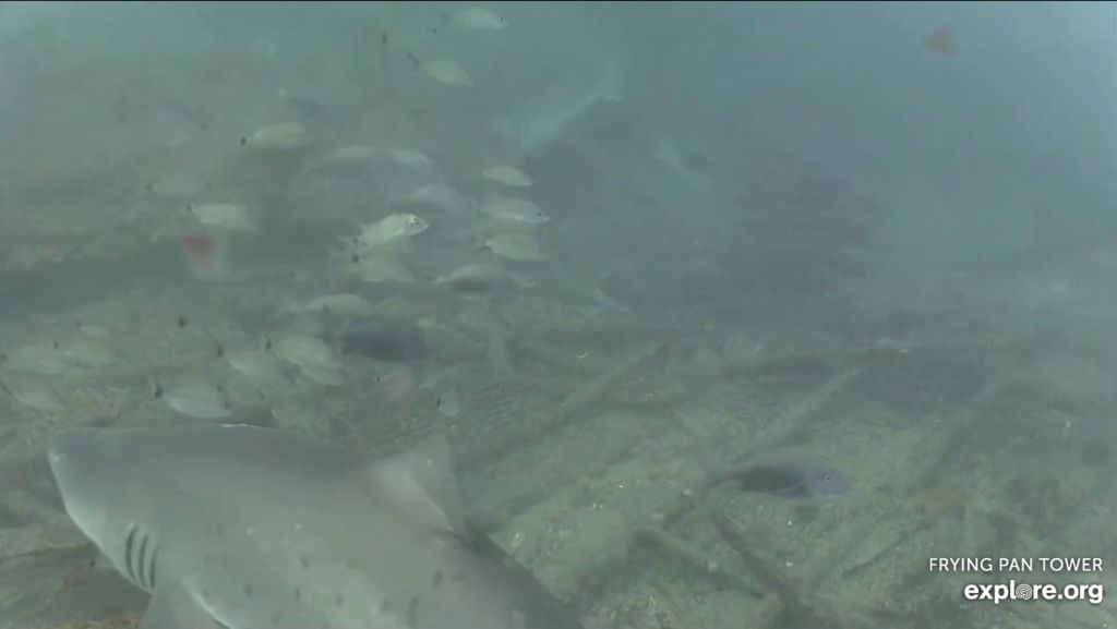 baba35e3-2f81-4c59-8c1e-522a3637dca5