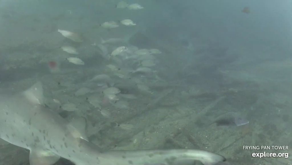 baba35e3-2f81-4c59-8c1e-522a3637dca5