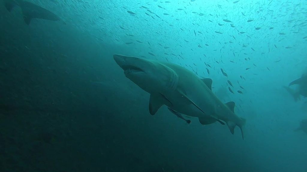 343d4380-7fb2-48d2-af22-b47e75676e53