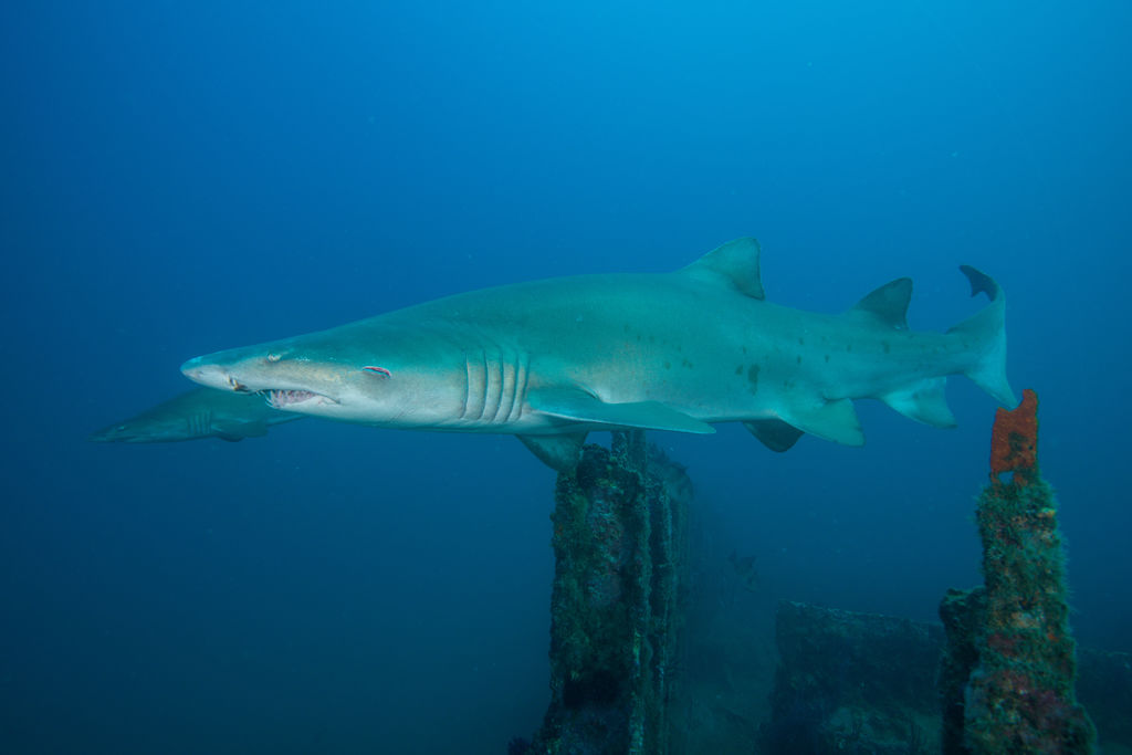 aeaa13b0-c819-4f7c-b81d-5bb478b8e537