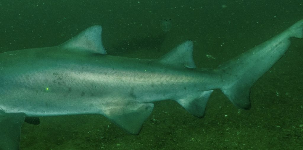 8c75741a-c1e4-4fb5-88c2-b5b328bff831