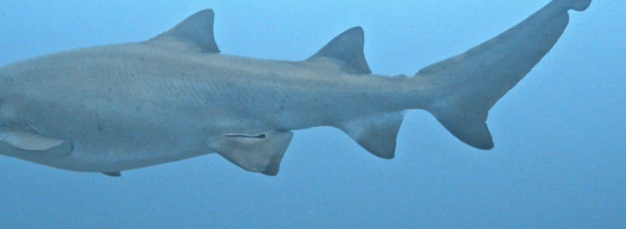 78ee2270-75ea-42b1-96f0-4ab4379c8173