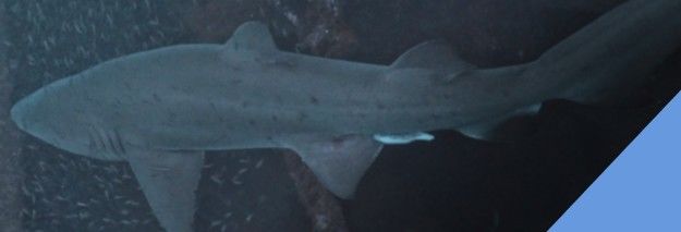 ee2799ff-e2a2-470f-af04-6cb25872c96e