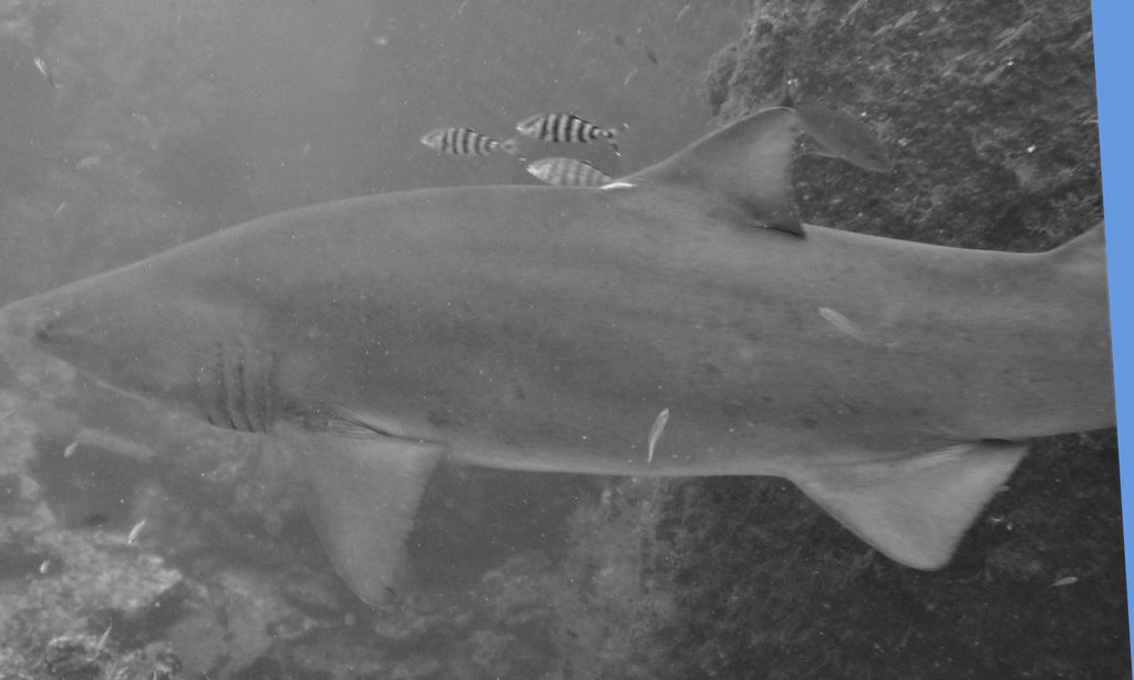 5bca20bc-50c2-47eb-b293-c5bd2f3caf78