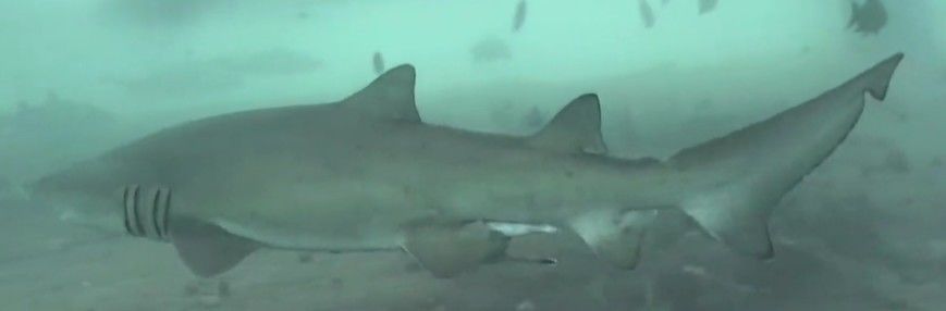 b2723e1b-b852-41c0-8547-3b6d38b58311