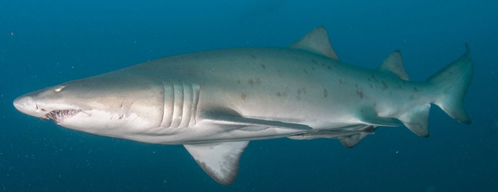 7decd260-0239-44fc-ad38-df42b81d67d7