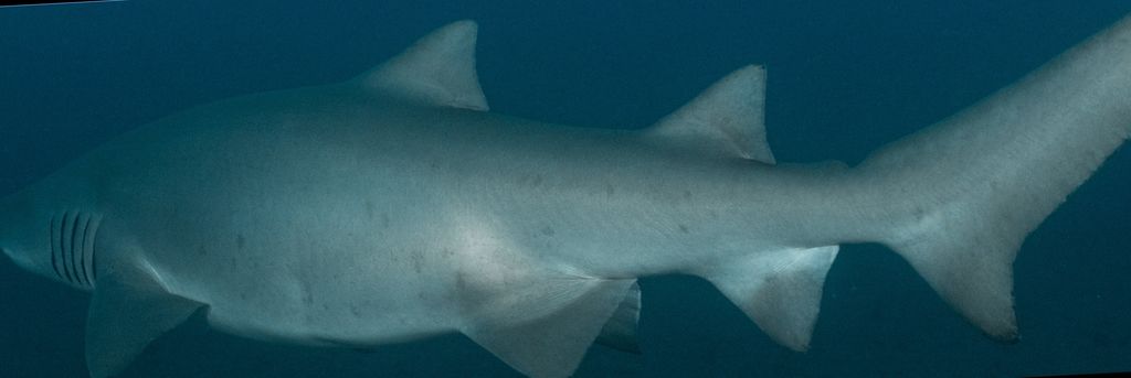 eeb6f7db-e9aa-4fcc-be04-7ec6512fddbc