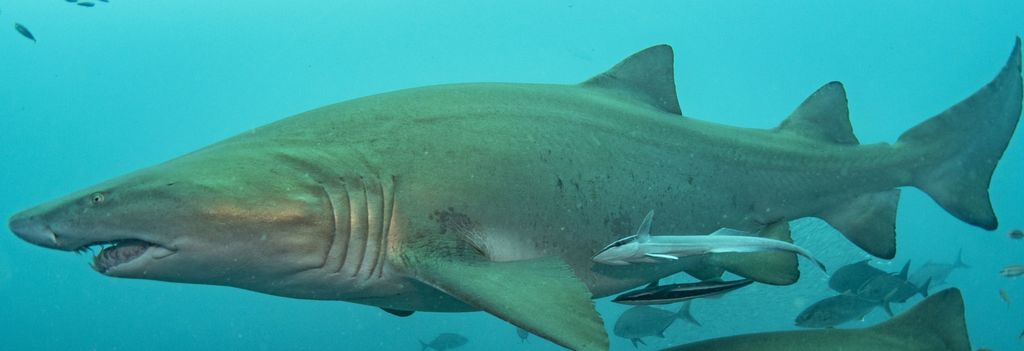 b609e5ff-0bb4-48ec-9d65-cb083348e7fb