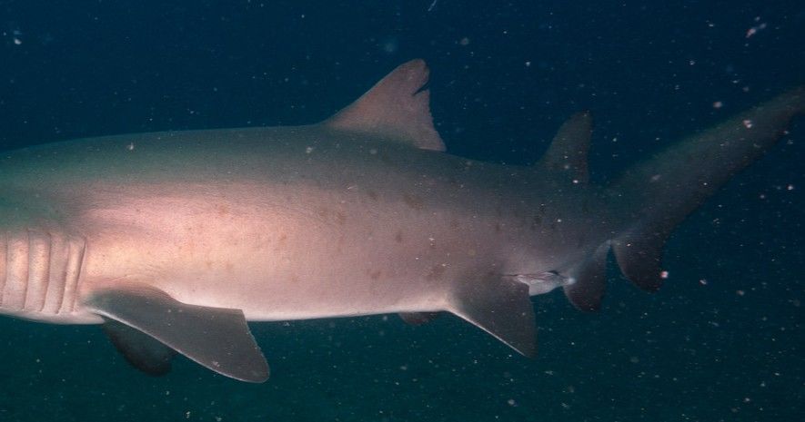 91938a82-cf8c-4fb4-95a1-a4757204d46e