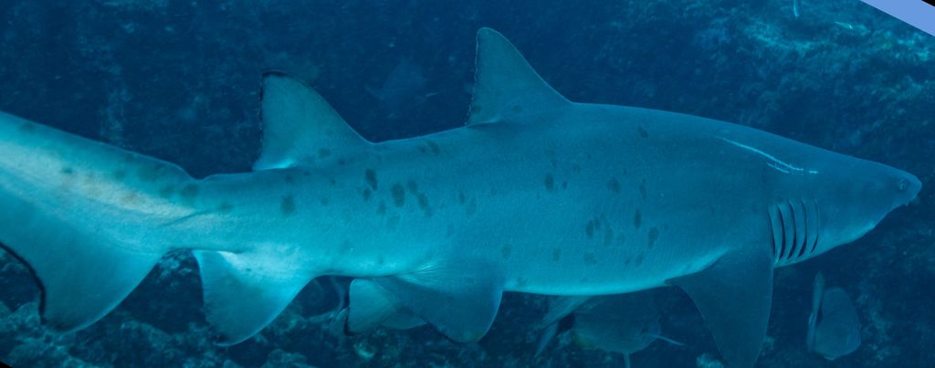 e9016b99-373c-467f-9325-014fb81bde65