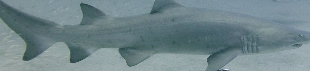 0576f933-3046-46ce-b7d8-c3cdeeccd583