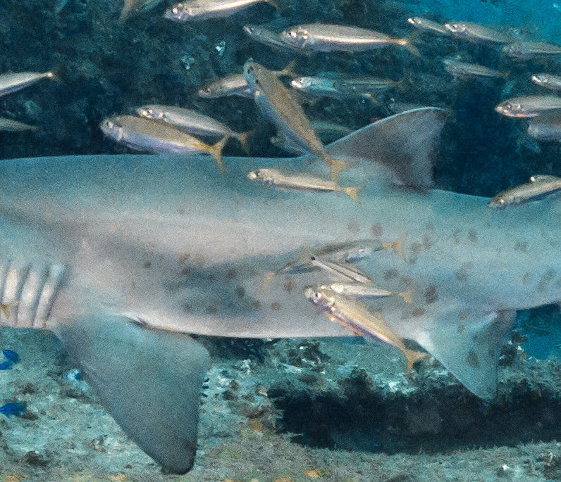 cd8bedb3-3d69-40fd-be32-4991f62d7632