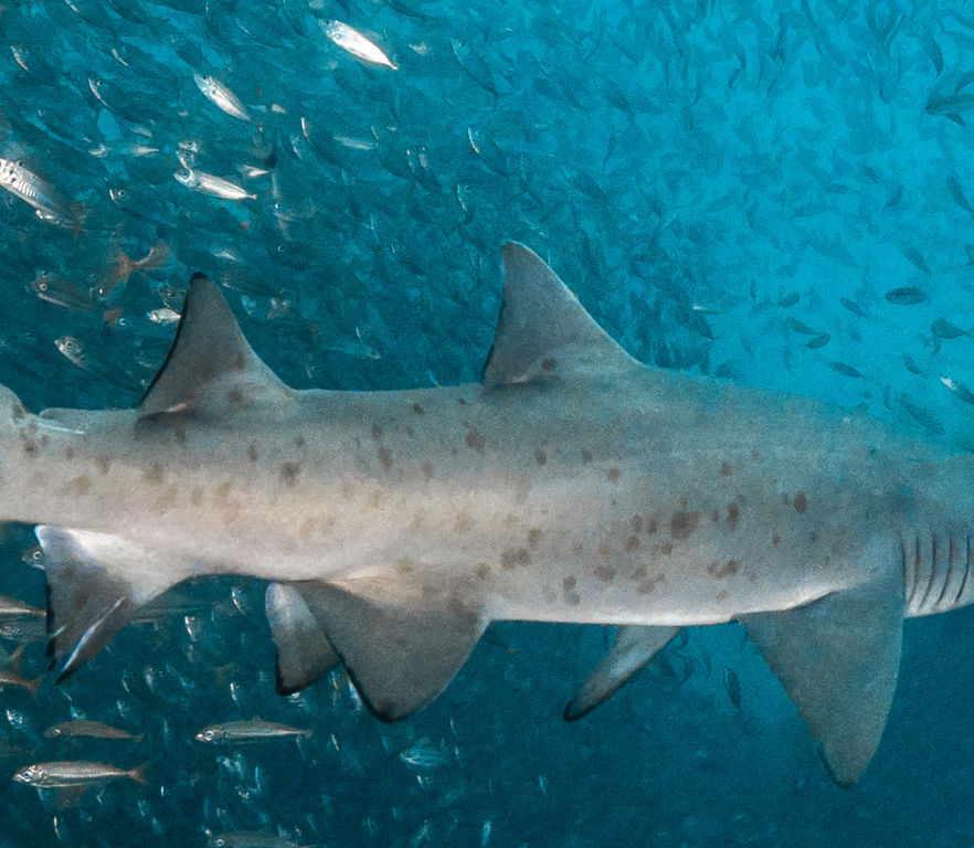 cd8bedb3-3d69-40fd-be32-4991f62d7632