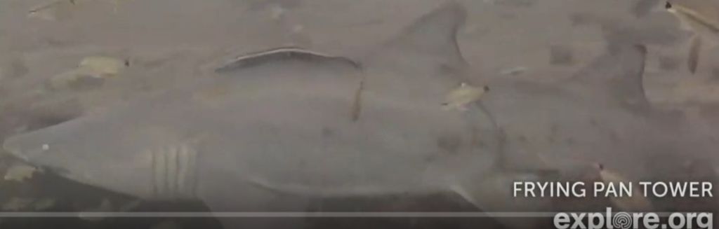 a4408b9b-cf05-4d7b-9dfc-043e81d67ab5